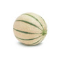 MELON CHARENTAIS VAL DE SERIGNY 12PCS